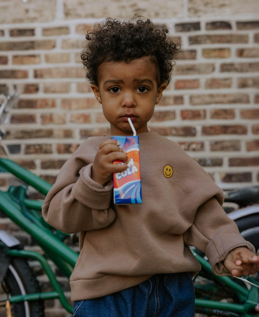 FLIINK ALVIN LS SMILEY SWEATSHIRT PULLOVER PINE BARK