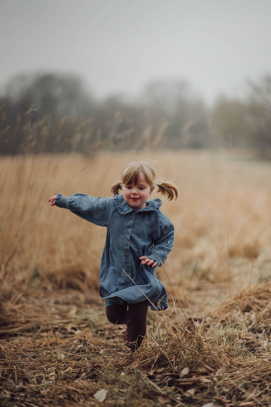 FLIINK BALOU LS DRESS DRESS DREAM BLUE