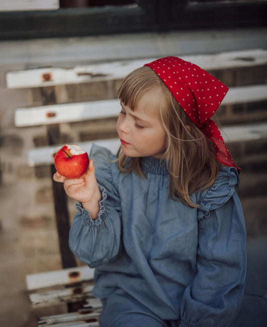 FLIINK HURLUM LS BLOUSE BLOUSE LIGHT DENIM BLUE