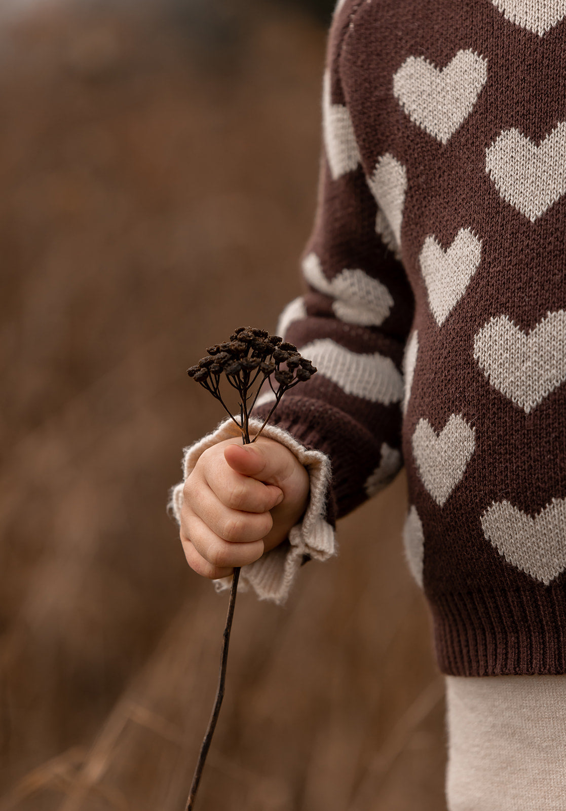 FLIINK JANIE PULLOVER PULLOVER CHICORY COFFEE
