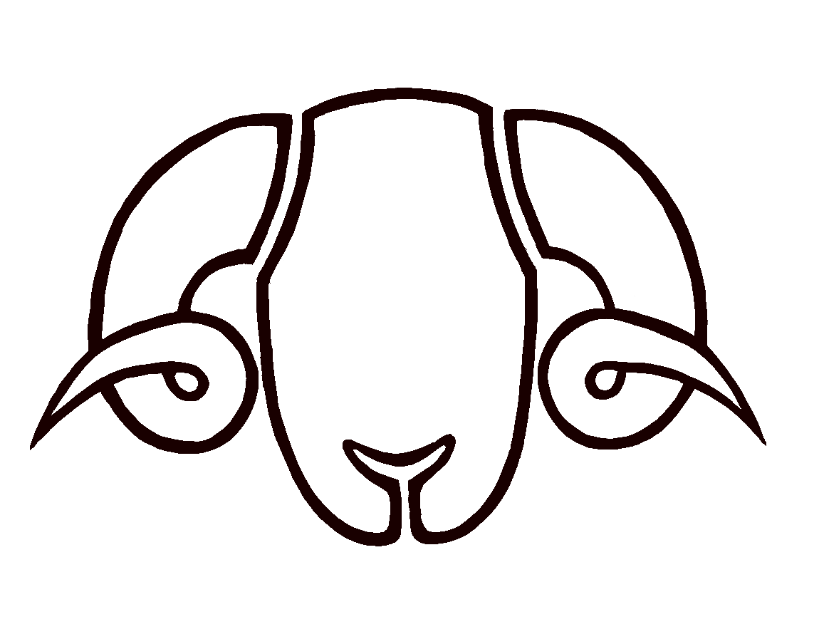 Merino Wool