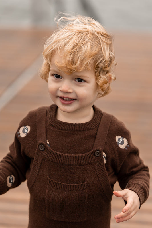 FLIINK ALON PULLOVER PULLOVER CHICORY COFFEE