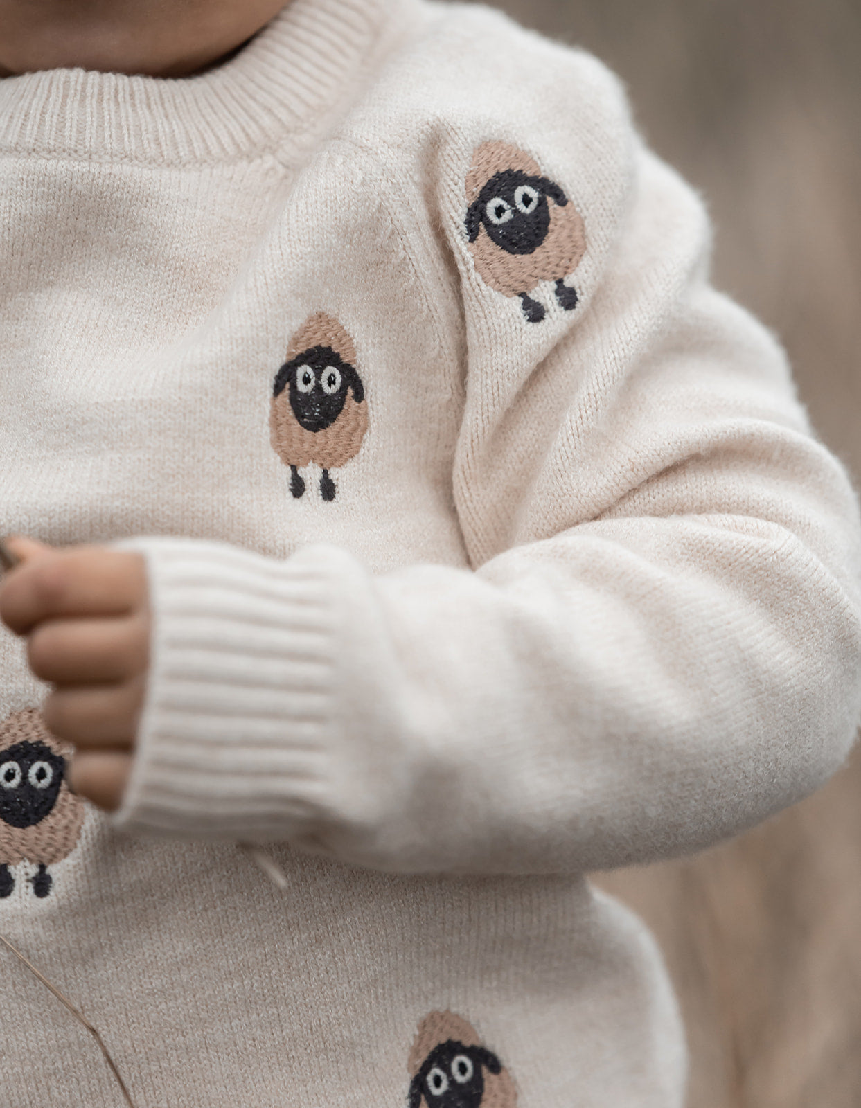 FLIINK ALON PULLOVER PULLOVER SANDSHELL EMBR. SHEEP