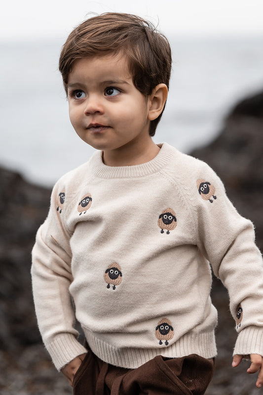 FLIINK ALON PULLOVER PULLOVER SANDSHELL EMBR. SHEEP