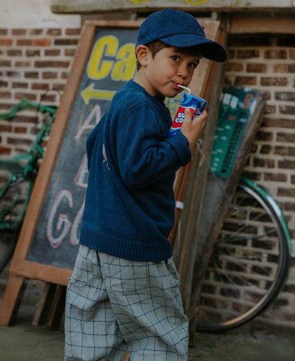 FLIINK CODY CHECK PANT PANT SLATE