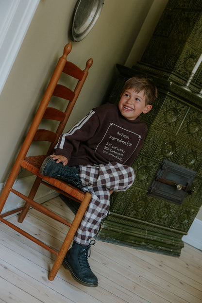 FLIINK CODY PANT PANT INSIGNIA CHECK