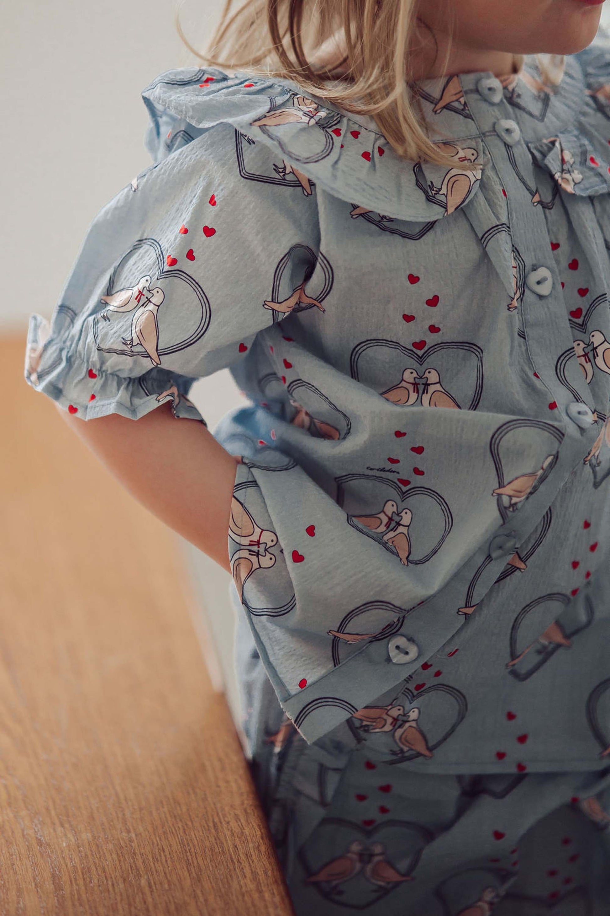 FLIINK COLOMBE SS BLOUSE BLOUSE DREAM BLUE AOP