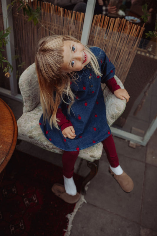 FLIINK DONNA EMBR SHIRT DRESS DRESS DARK DENIM BLUE