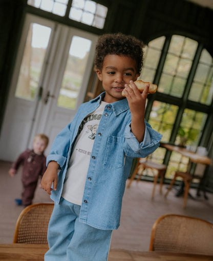 FLIINK DONNY LS SHIRT SHIRT MEDIUM DENIM BLUE