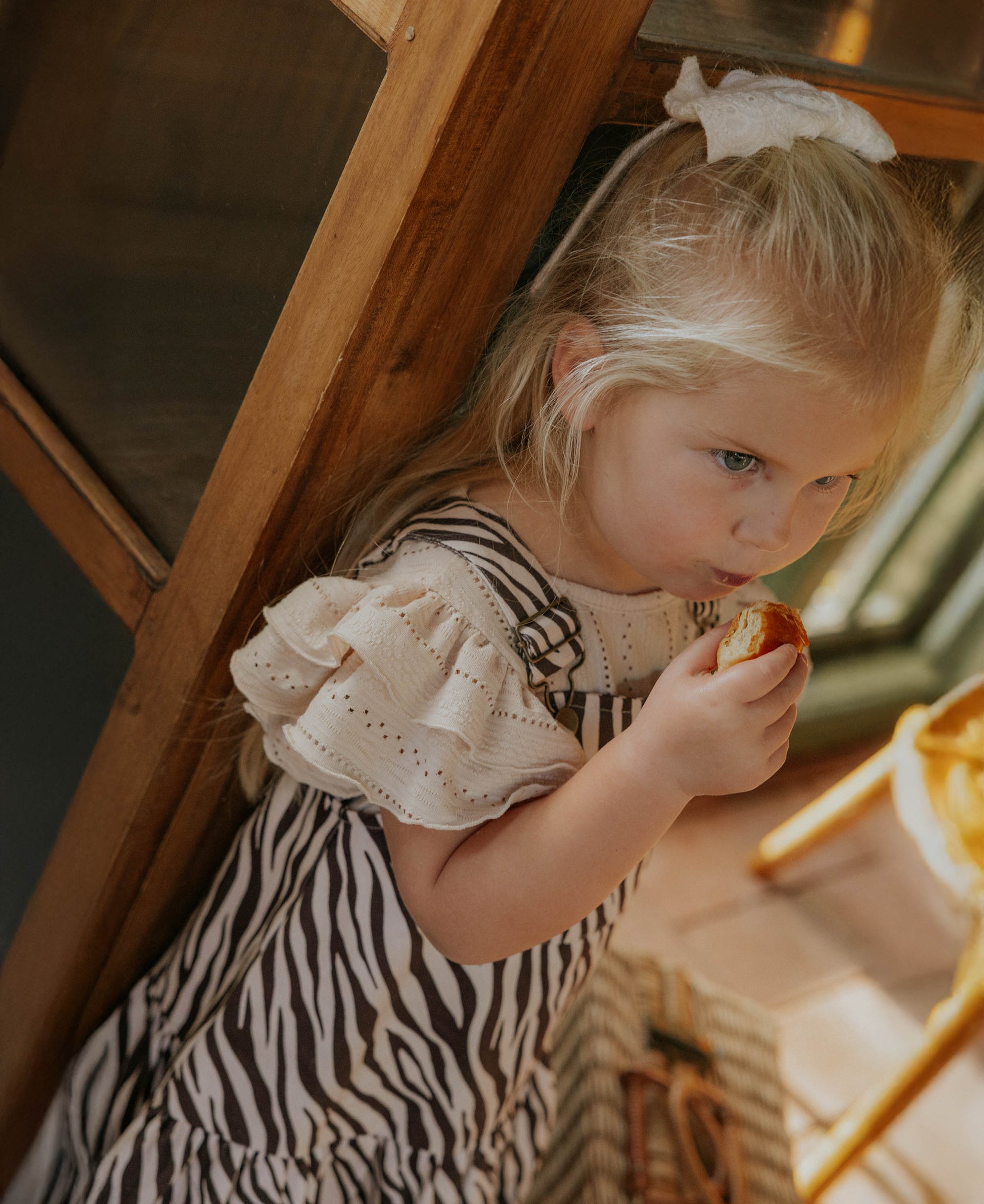 FLIINK DUNA ZEBRA SPENCER DRESS DRESS ZEBRA AOP