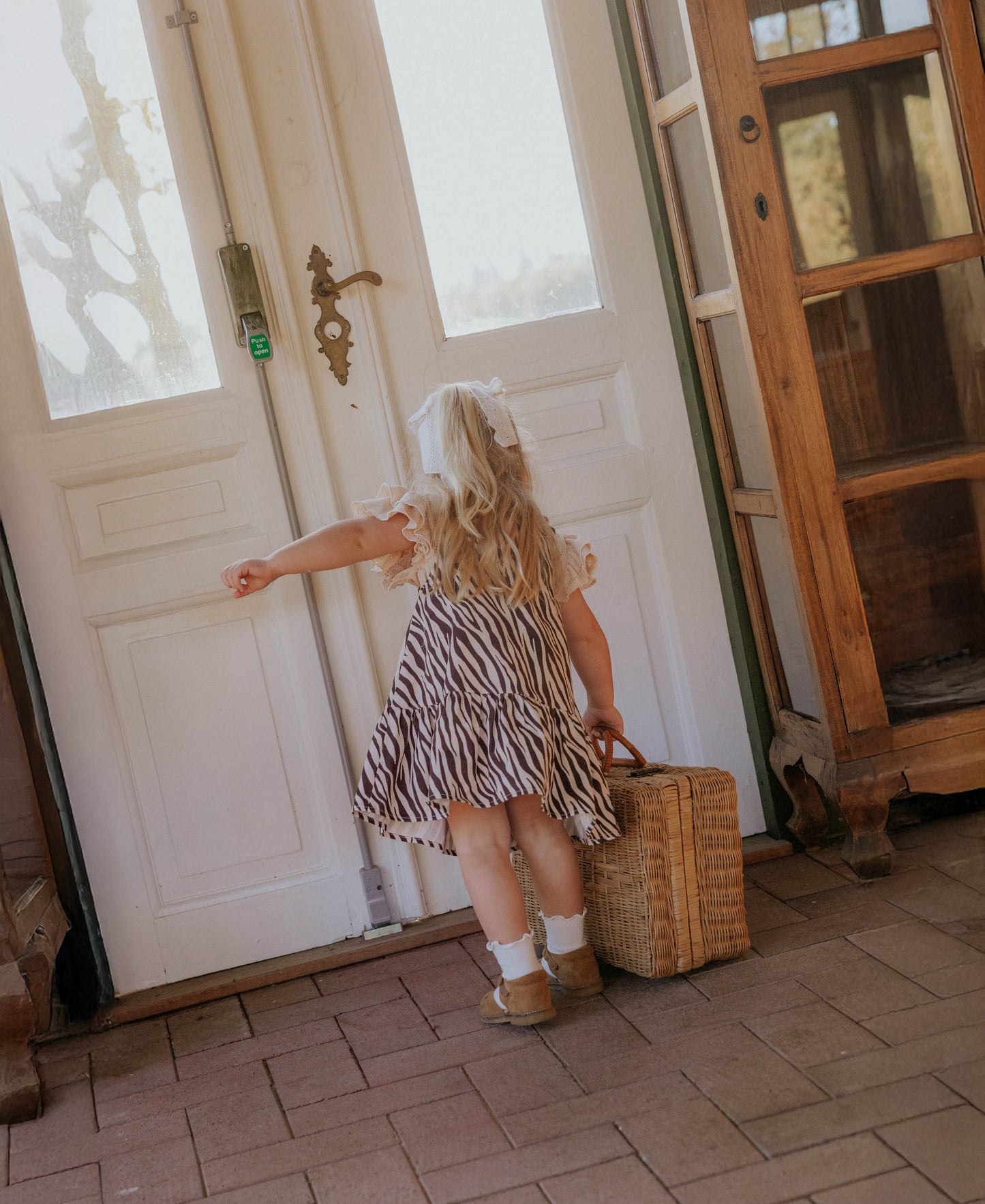 FLIINK DUNA ZEBRA SPENCER DRESS DRESS ZEBRA AOP