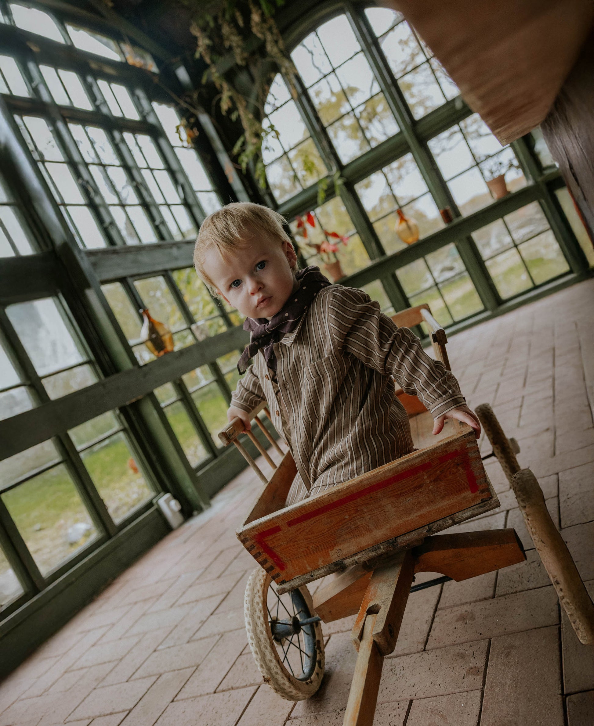 FLIINK ELMO LS SHIRT SHIRT PINE BARK STRIPE