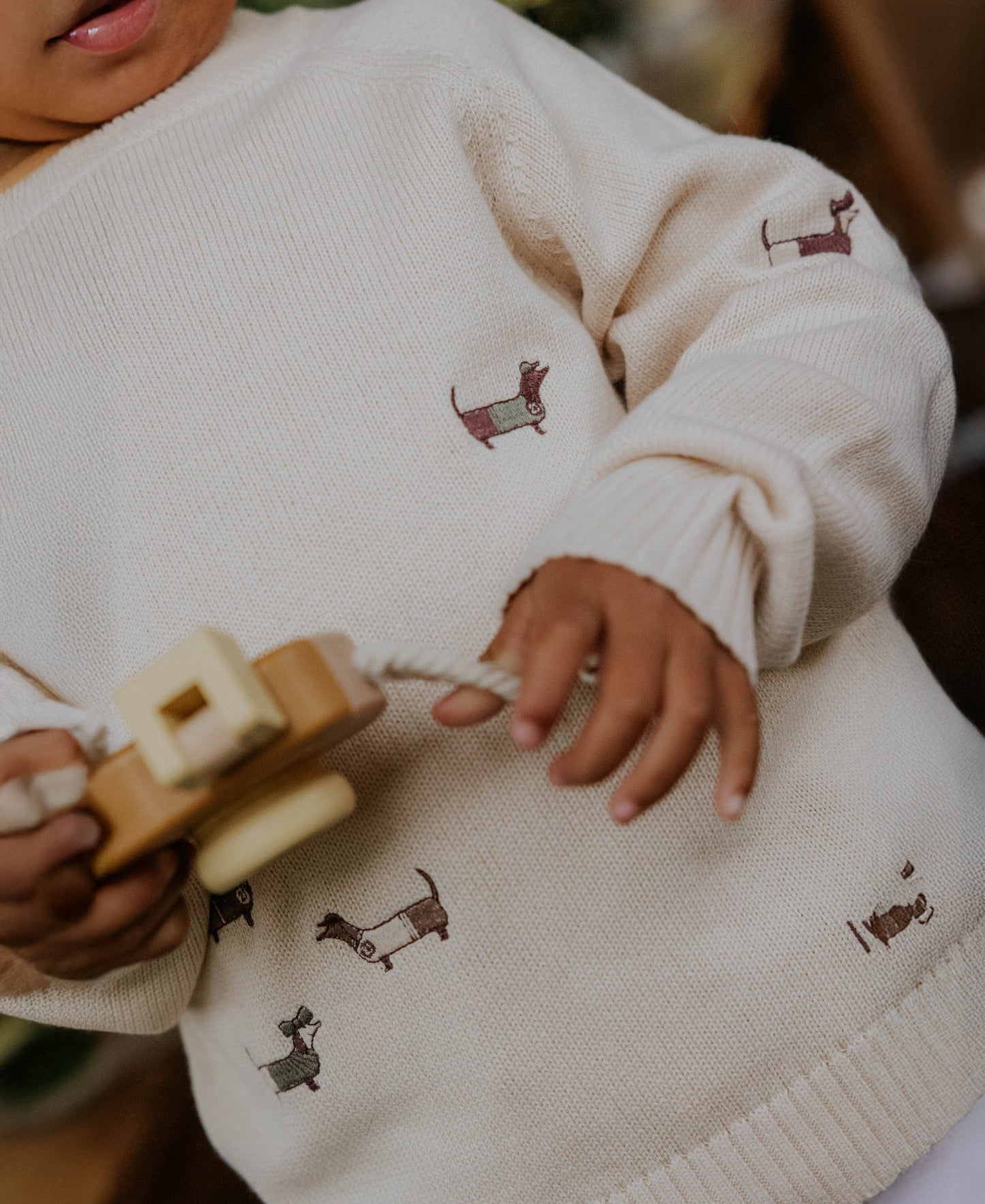 FLIINK MAHDI DOG PULLOVER PULLOVER SANDSHELL