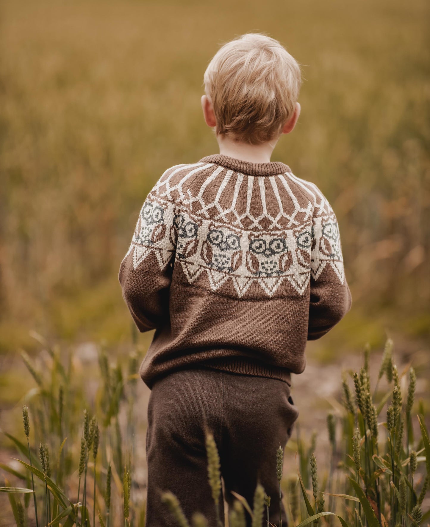 FLIINK NOVA OWL JAQUARD PULLOVER PULLOVER CARAFE