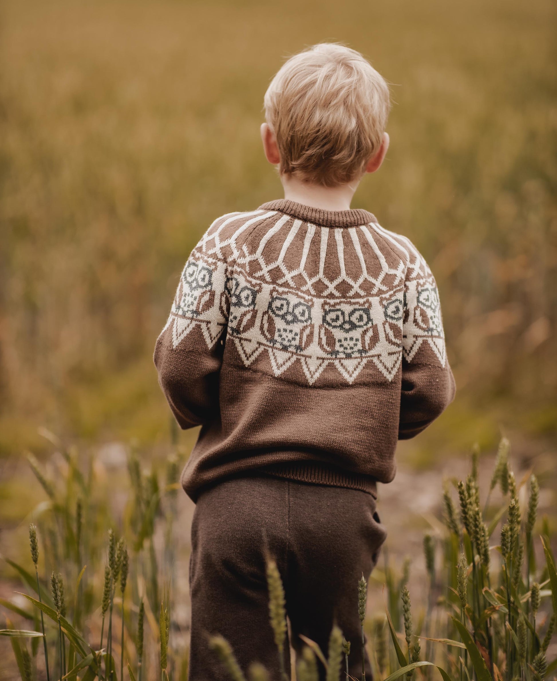 FLIINK NOVA OWL JAQUARD PULLOVER PULLOVER CARAFE
